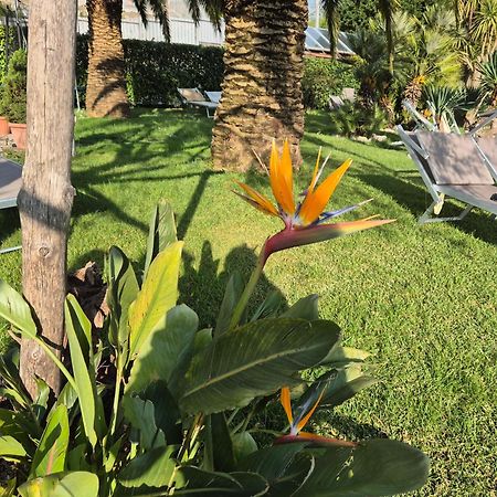 La Cicogna Bed and Breakfast Agerola Εξωτερικό φωτογραφία