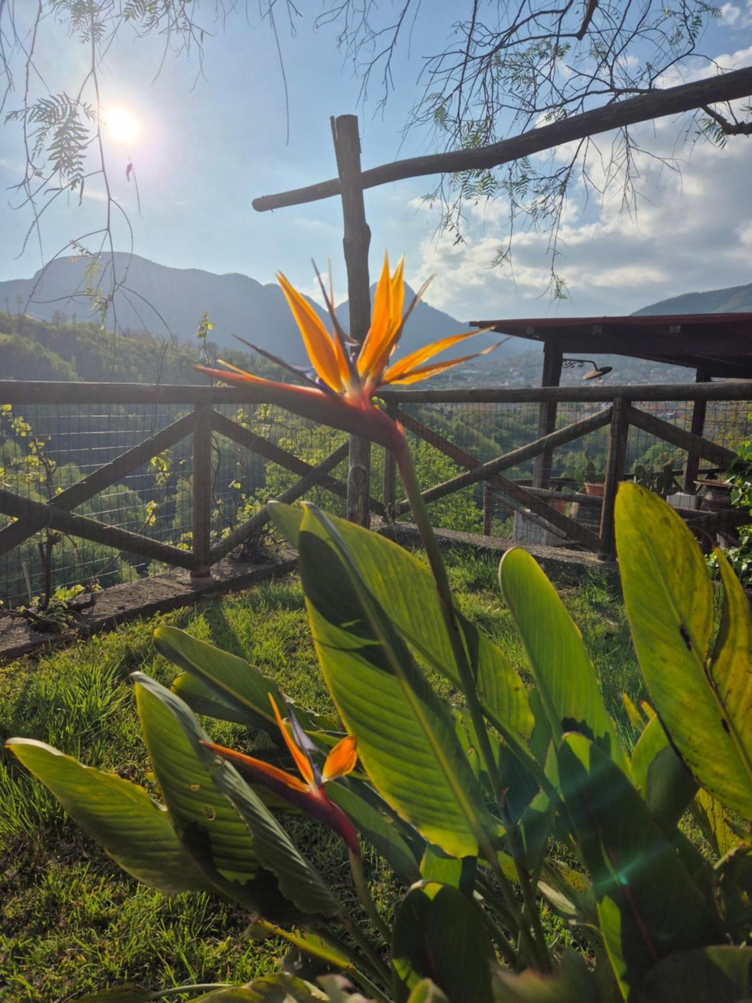 La Cicogna Bed and Breakfast Agerola Εξωτερικό φωτογραφία