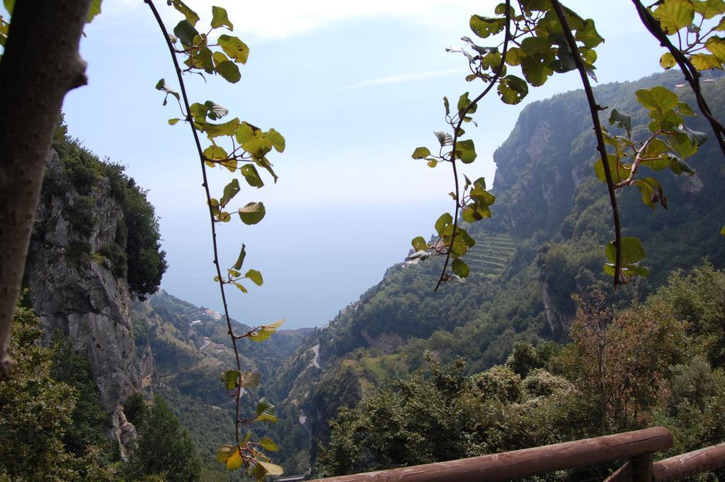 La Cicogna Bed and Breakfast Agerola Εξωτερικό φωτογραφία